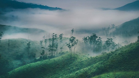 Vagamon